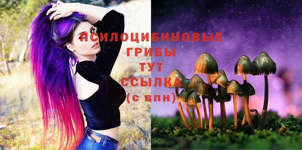 бошки Баксан